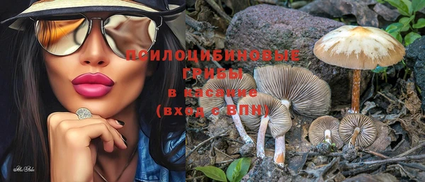 бошки Баксан