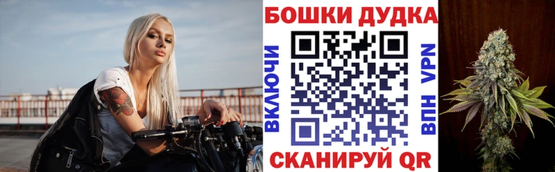 Шишки марихуана план  Нововоронеж 